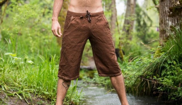 Shorepine Shorts